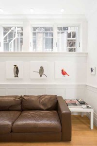 couch-bird-art